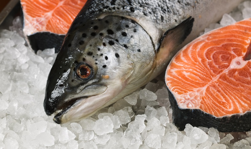 Исследование рынка лососевых в Украине: пора равняться на Норвегию